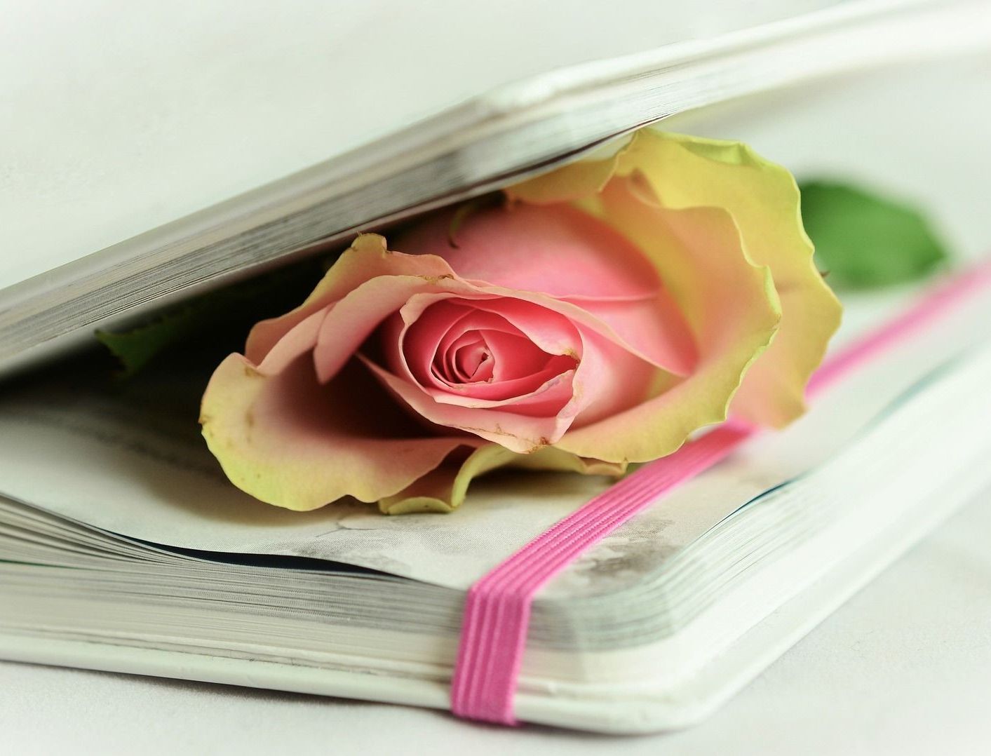 Gedichte, Heine, Tucholsky, Liebesgedichte, zentrum plus Garath